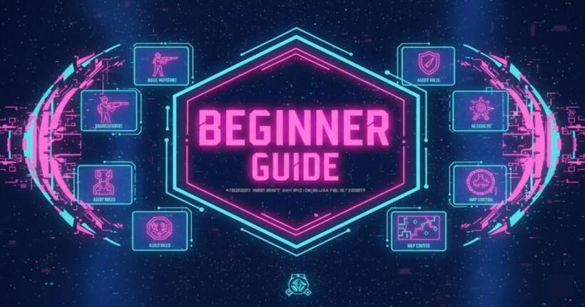 Beginner Guide